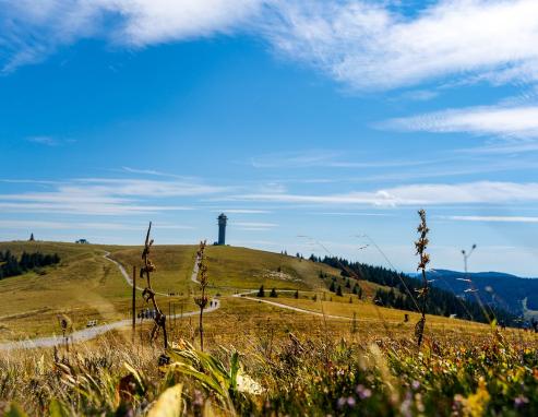 Feldberg