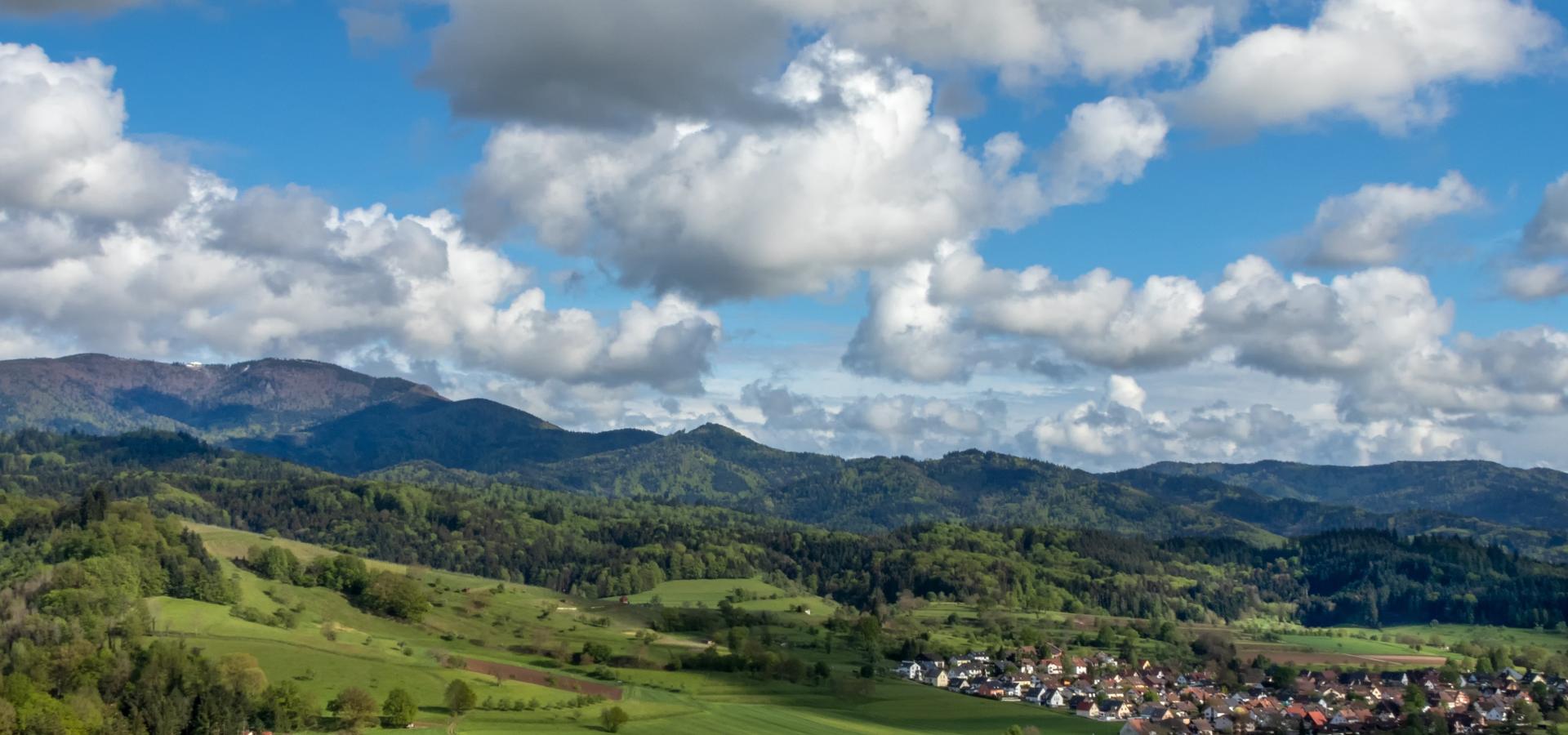 Schwarzwald bei Buchenbach Schwarzwald bei Buchenbach